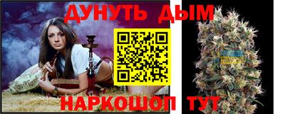 Альфа ПВП Аргун