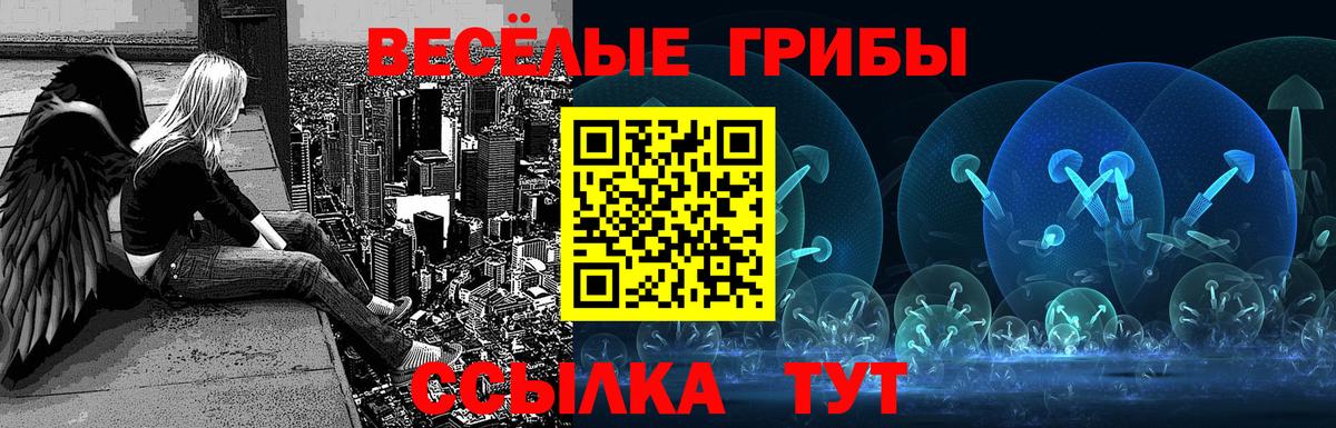 Псилоцибиновые грибы Cubensis  Вход с VPN  Псилоцибиновые грибы Cubensis  Владивосток 